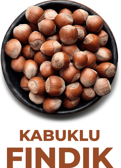  Kabuklu Fındık