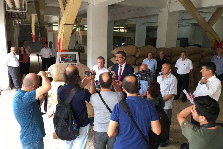 2017 Fındık Alımı Başladı