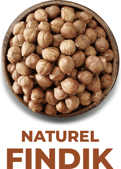  Natürel İç Fındık