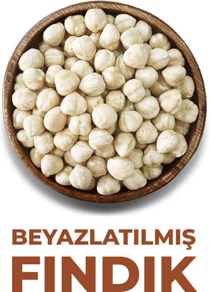  Beyazlatılmış Fındık