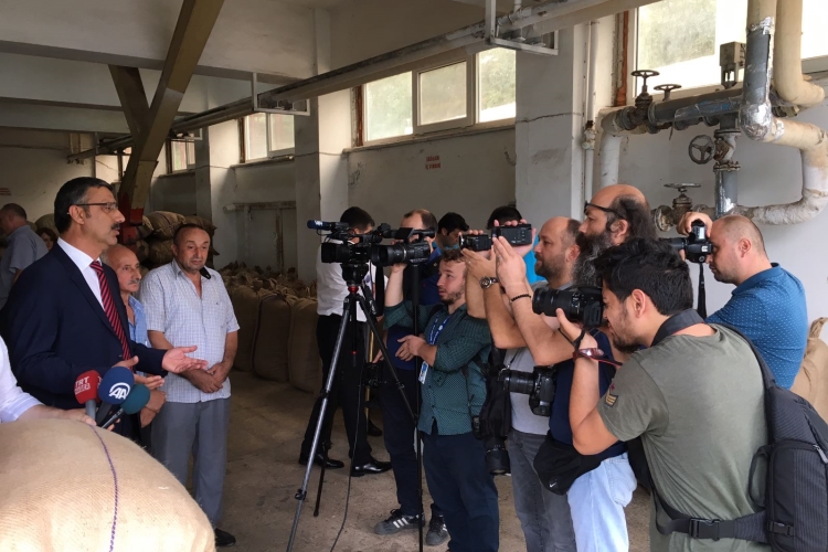 2017 Fındık Alımı Başladı