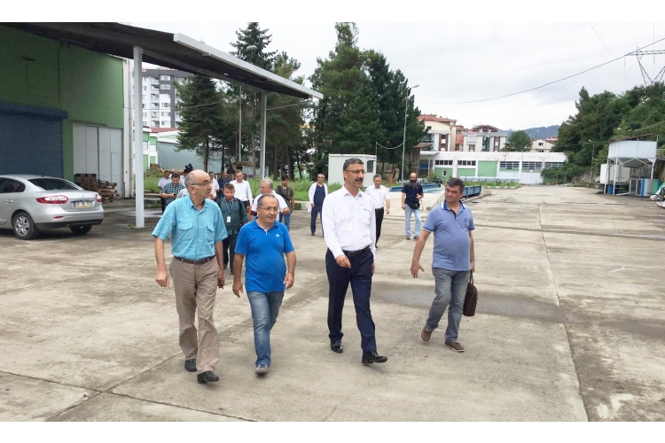 Basın Mensupları Efit