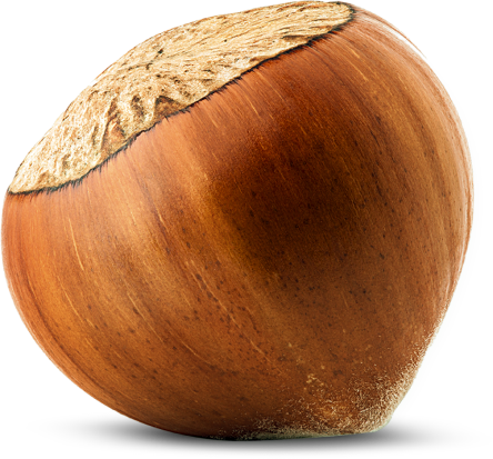  Fındığın Faydaları