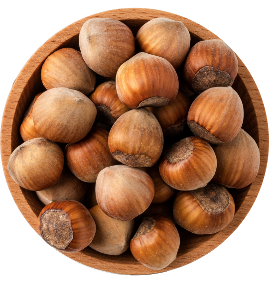 <span>Fındığa </span> kısa bir bakış