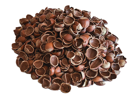   Fındık Kabuğunun Kullanım Alanları;